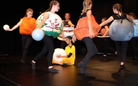 plesno gledališče 5